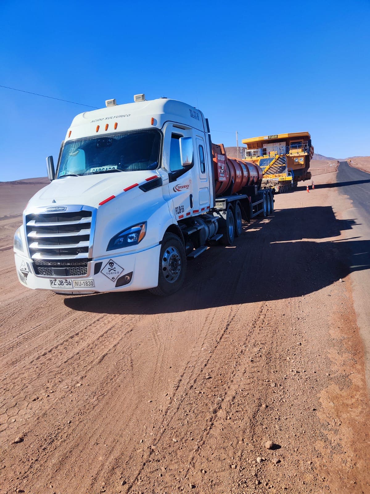 Cama baja transportando máquina
